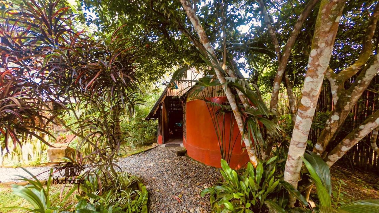The Mudhouse Hostel Mompiche Eksteriør billede